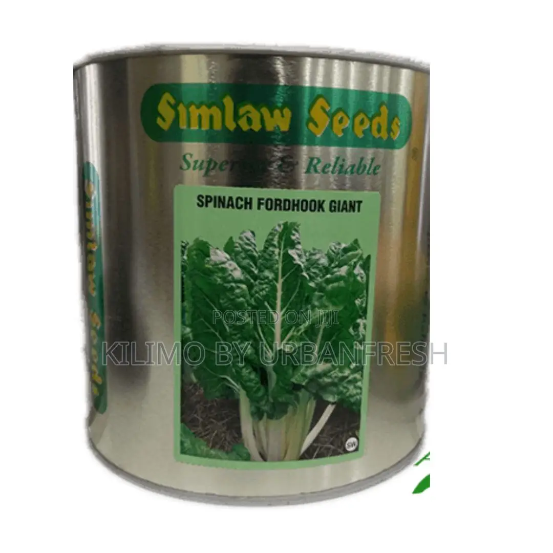 Spinach Fordhook Giant Seeds 50g