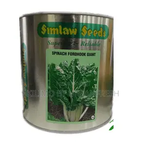 Spinach Fordhook Giant Seeds 50g