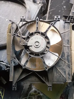 Passo Radiator Fan