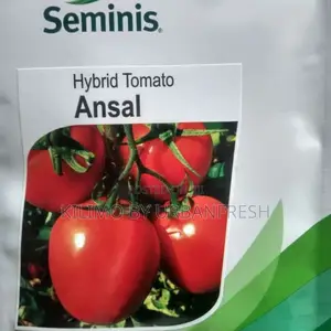 Ansal F1 Tomato Seeds (5000 Seeds