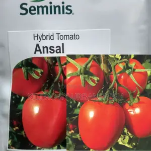 Ansal F1 Tomato (10000 Seeds at KSHS 38,800)