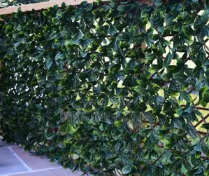 Dark Green Wall Green Fence