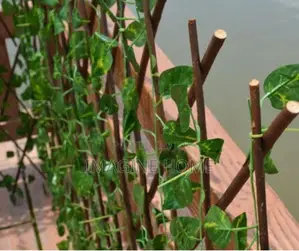 Stretchable Dark Green Fence