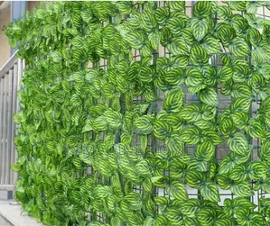 Watermelon Light Beautiful Green Fence