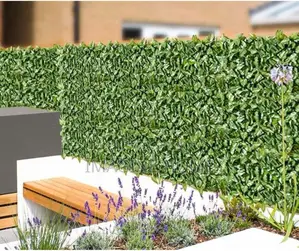 Light Nice Green Fences Plants