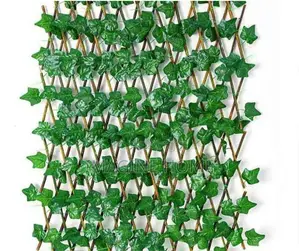 Expandable Leaf