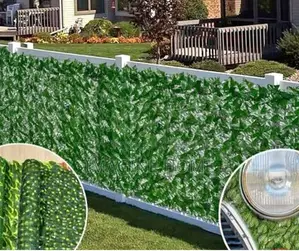 Light Nice Garden Green Fence Plants