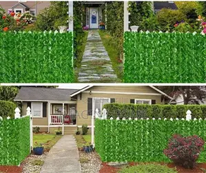 Privacy Green Fences Light Fence Home Plants