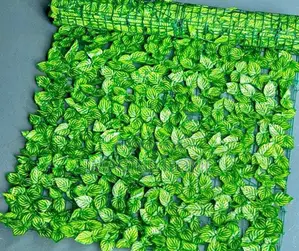 Watermelon Green Leaf Home Fence