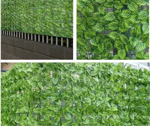Green Watermelon Green Adorable Fence