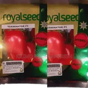 Terminator F1 Tomato Seeds 10g