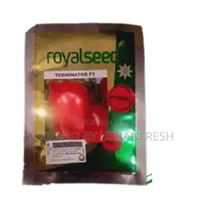 Terminator F1 Tomato Seeds 25g