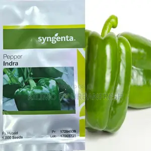 Indra F1 (Capsicum) 1000 Seeds