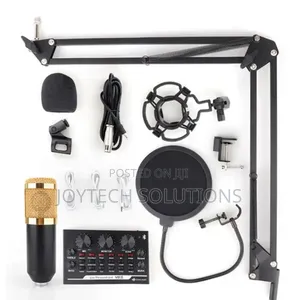 Original Hot Selling High Quality Condenser Microphone