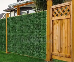 Home Door Green Adorable Fence