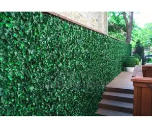 Veranda Beautiful Green Fence Home