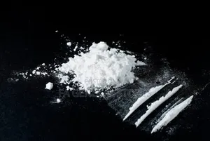Methocel, Hydroxyl Propyl Methyl Cellulose