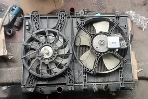 Mistubishi IO Radiator