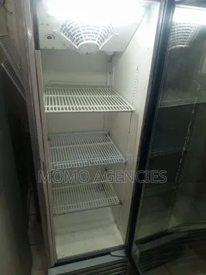 Display Fridge 300l