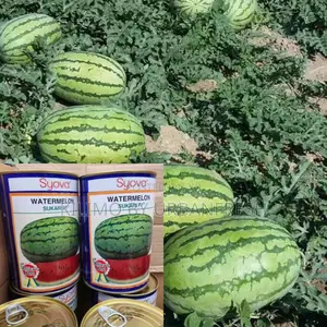 Watermelon Sukari F1 Seeds 1kg