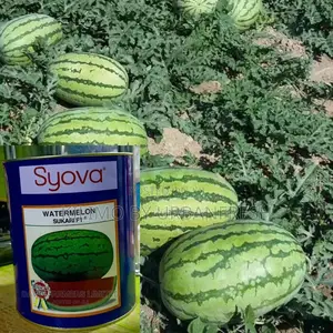 Watermelon Sukari F1 Seeds 500g