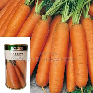 Carrot Nantes Seeds 10g