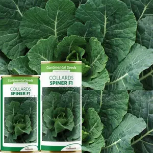 Spiner F1 Collards Seeds 25g