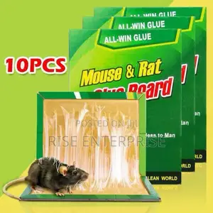 10 Pieces Mouse/Rat Book Trap