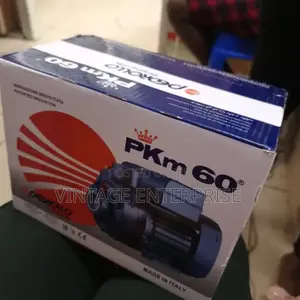 Pedrollo Water Pump