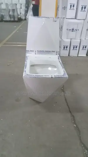Toilet Seat