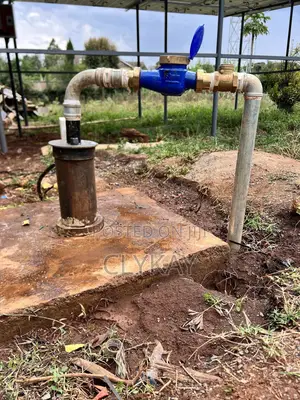 Solar-Powered Borehole Submersible Pump: Sales and Installat