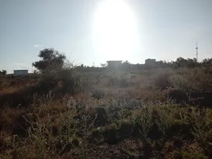 50*100 Plots Behind East Africa University