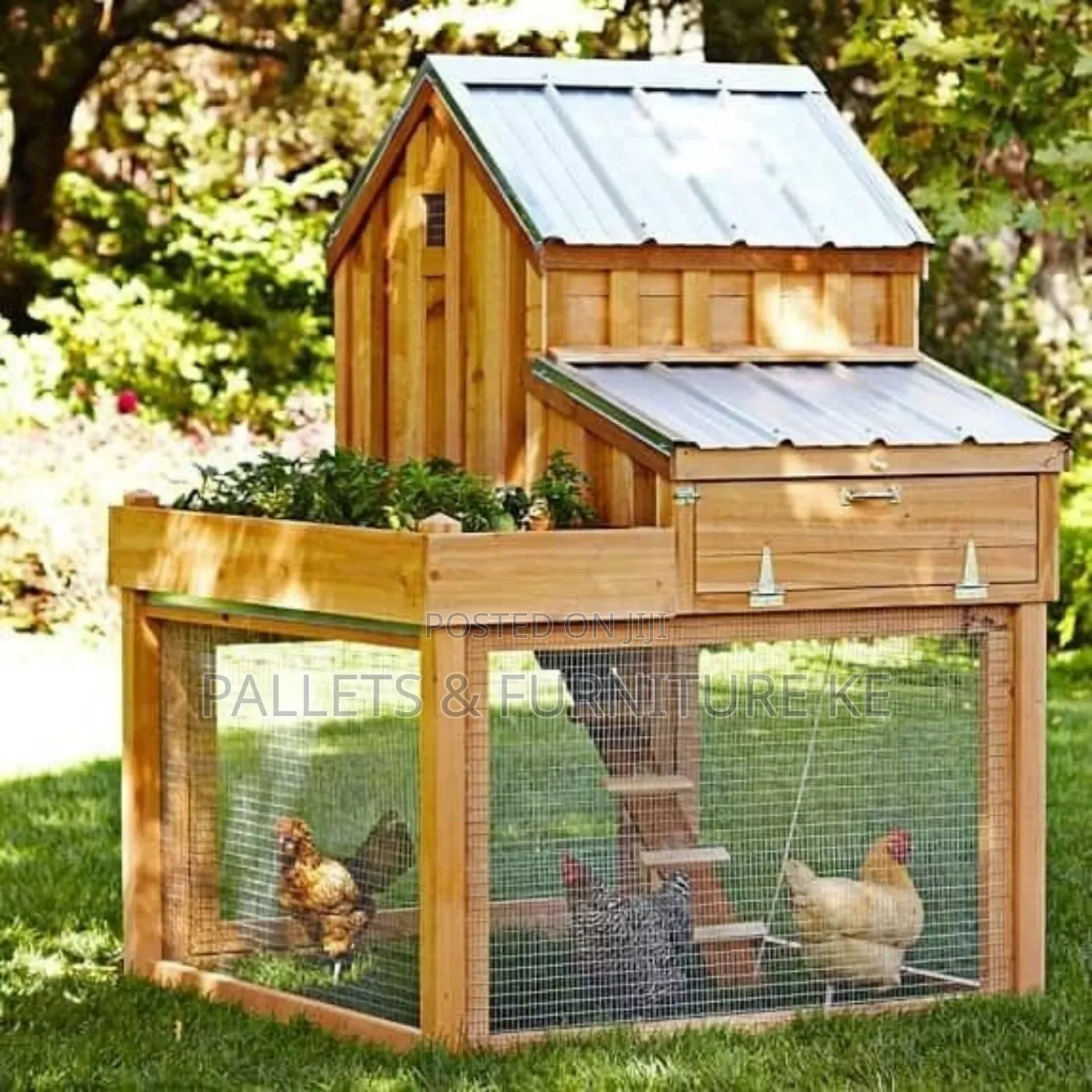 Cluck Corner