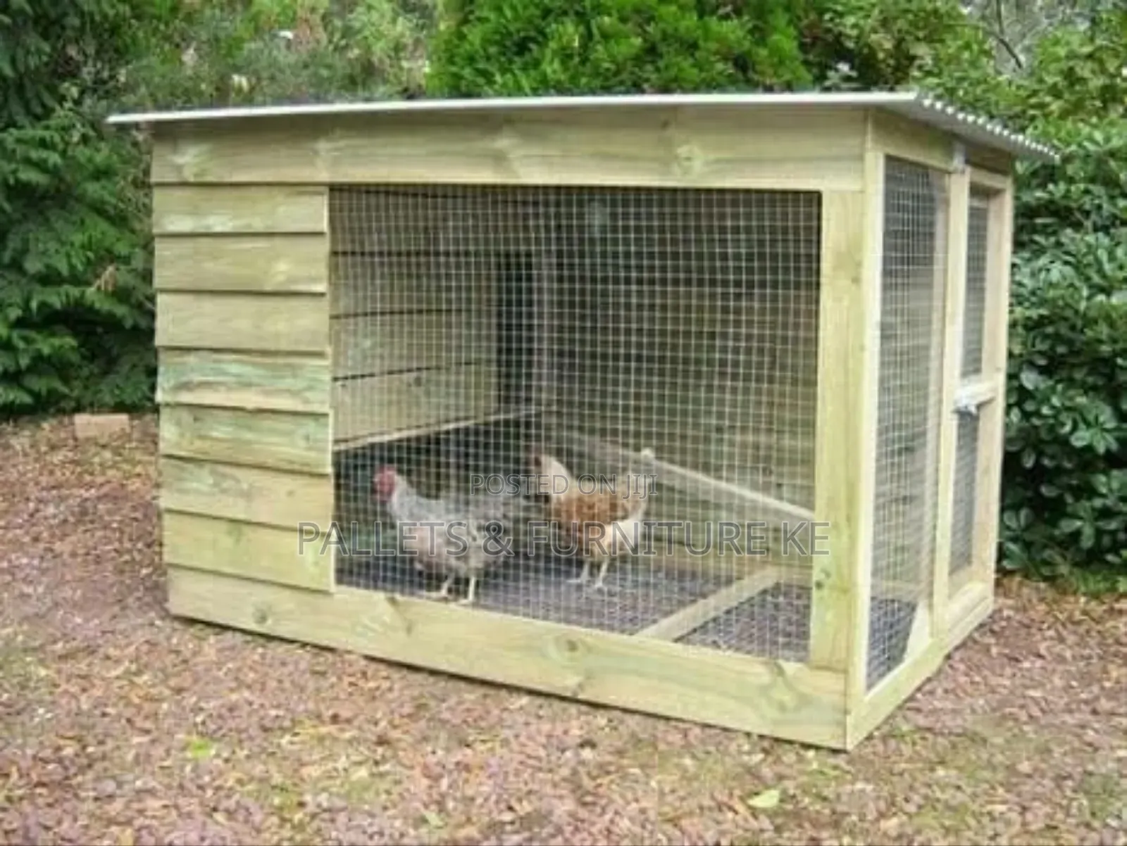Chick Chariot