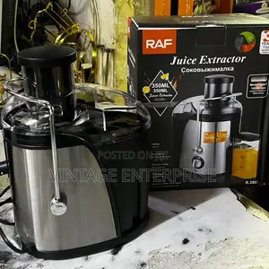 Raf Electric Juicer