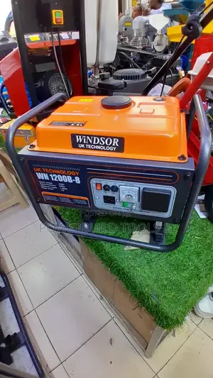 Windsor UK 1KVA Gasoline Powered Generator