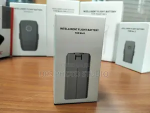 Intelligent Flight Battery for Mini 2