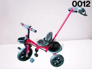 Kids Tricycle Bike