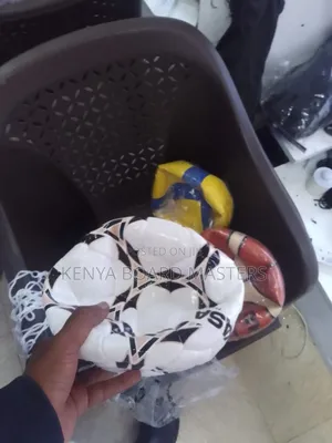 Mikasa Size 5 Foot Balls. Soccer Balls°×