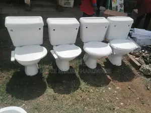 Toilet as Seat Cover