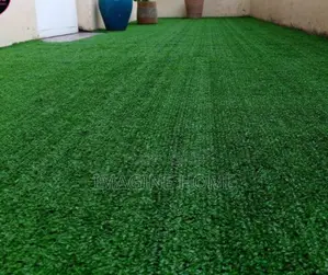 Gym Yard Turf Green Grass Carpet
