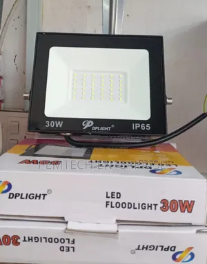 30W DP Light Floodlight
