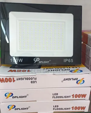 100w DP Floodlight