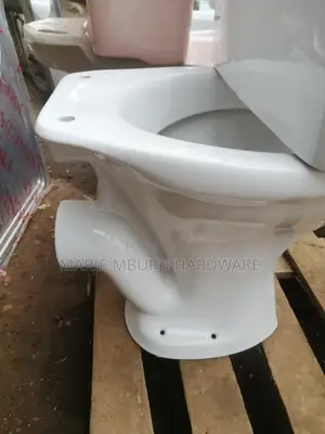 P Traps Toilet Seat