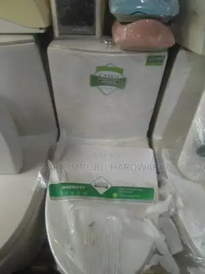 Sawa Toilet One Body