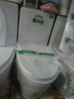 Sawa Toilet One Body