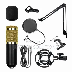 Studio Recording Microphone Bm 800 With Sound Card