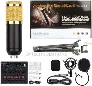 Singing Live Sound Card With Microphone Bm800