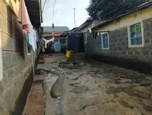 50*100 Plot for Sale