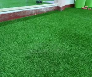 Light Green Balcony Green Nice Carpet